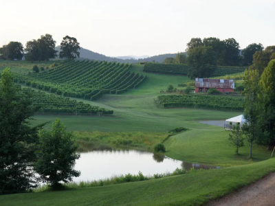 Things To Do THREE SISTERS VINEYARD & WINERY